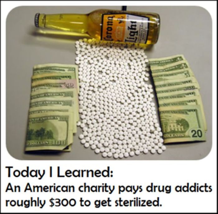 Today You Will Learn Something New (27 pics)
