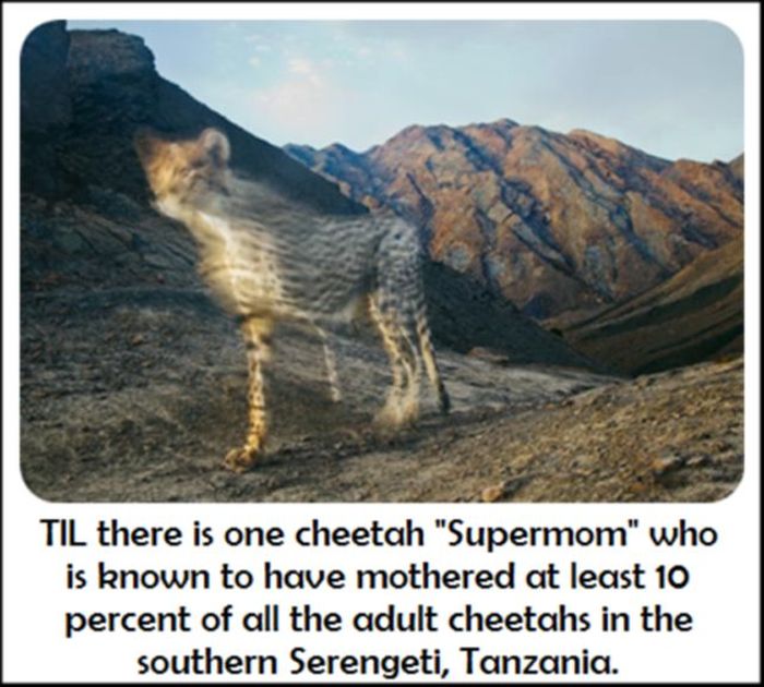 Today You Will Learn Something New (27 pics)