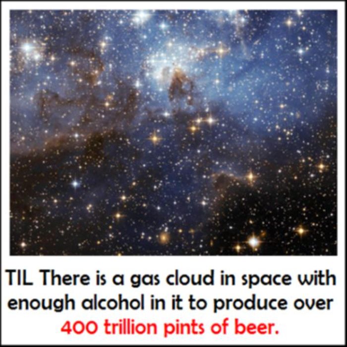 Today You Will Learn Something New (27 pics)