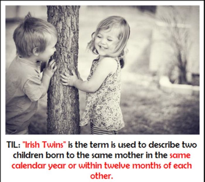 Today You Will Learn Something New (27 pics)