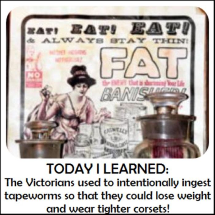 Today You Will Learn Something New (27 pics)
