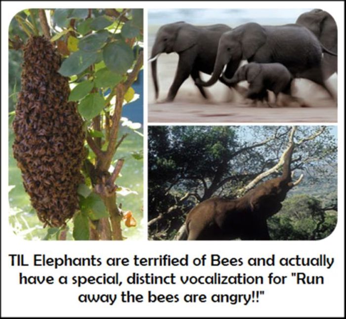 Today You Will Learn Something New (27 pics)