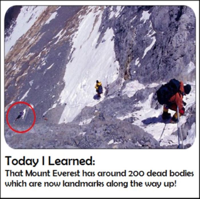 Today You Will Learn Something New (27 pics)