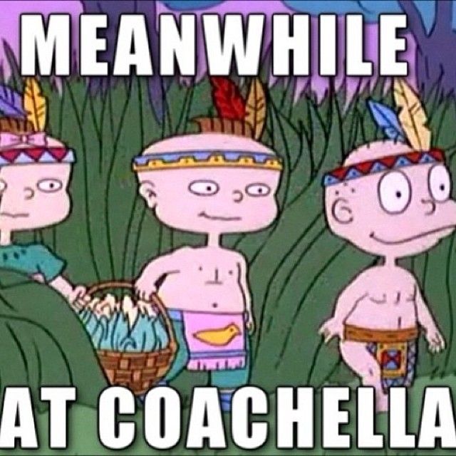 The Music Festival Experience In A Nutshell (30 pics)