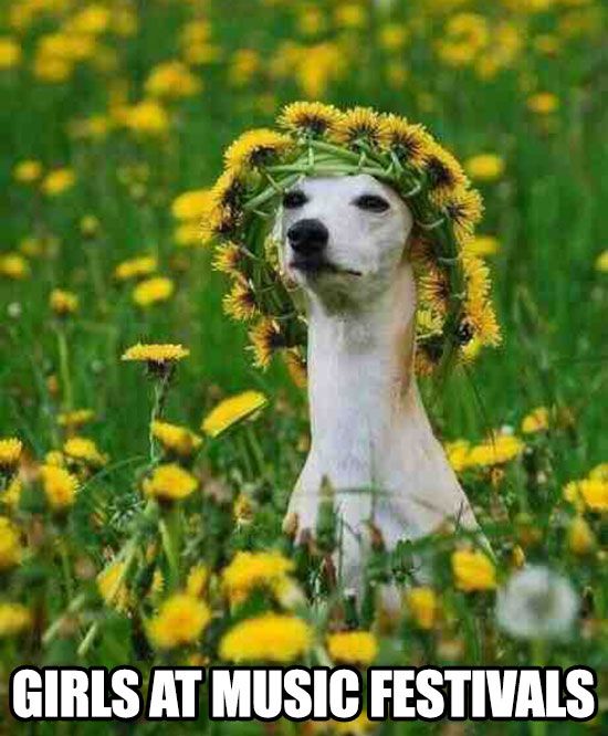 The Music Festival Experience In A Nutshell (30 pics)