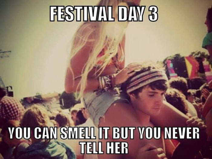 The Music Festival Experience In A Nutshell (30 pics)