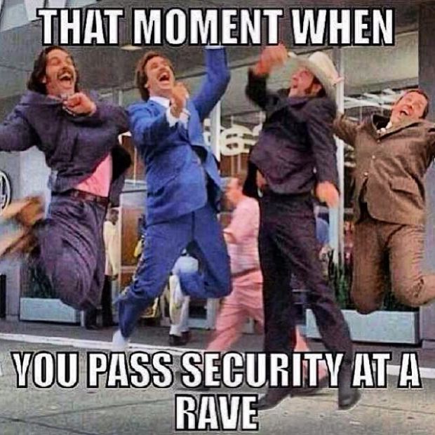 The Music Festival Experience In A Nutshell (30 pics)