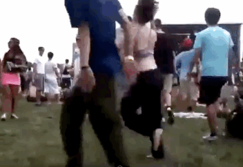 The Music Festival Experience In A Nutshell (30 pics)