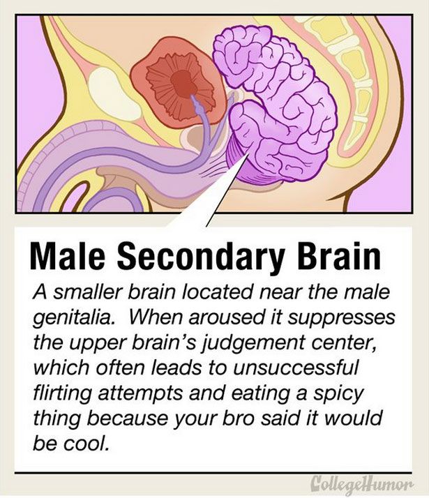 Everything You Need To Know About Men (27 pics)