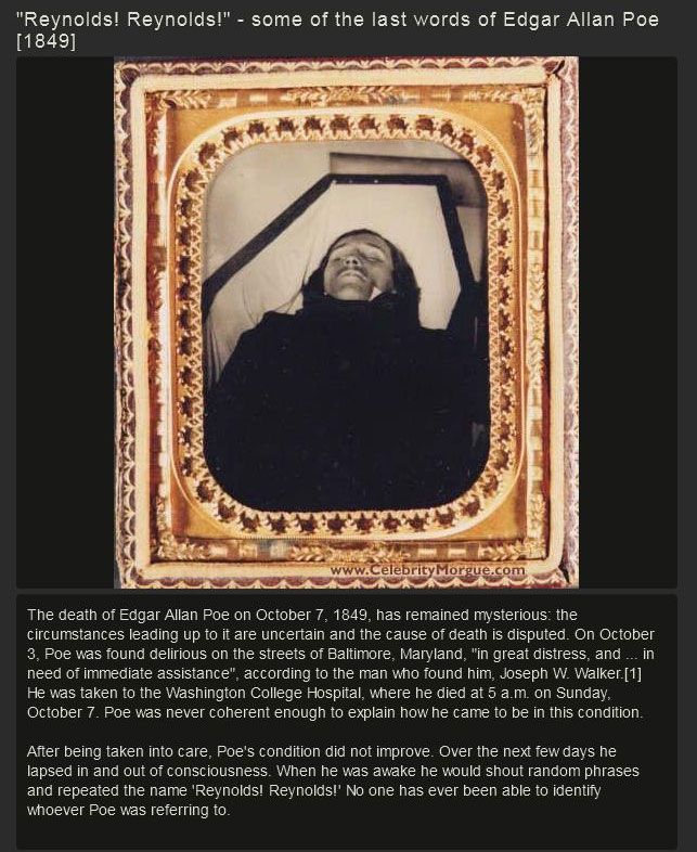 Famous Last Words And Mysterious Transmissions (10 pics)