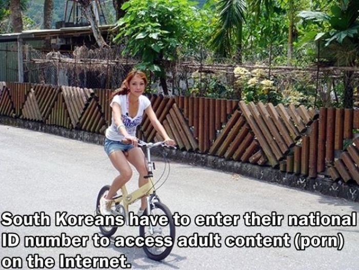 Facts You Didn't Know About The Adult Film Industry (24 pics)