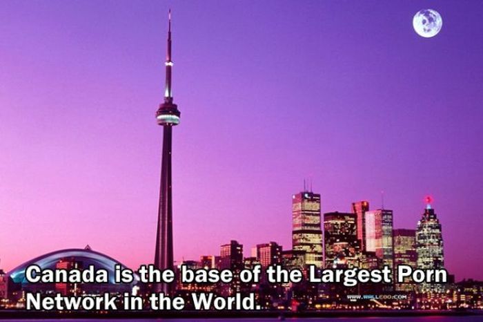 Facts You Didn't Know About The Adult Film Industry (24 pics)