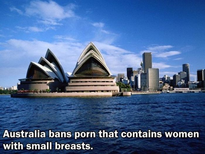 Facts You Didn't Know About The Adult Film Industry (24 pics)