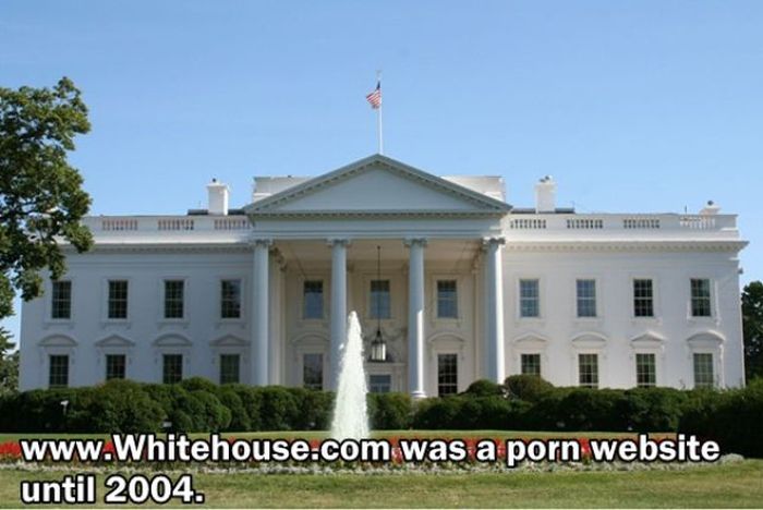 Facts You Didn't Know About The Adult Film Industry (24 pics)