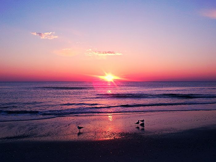 Sunrises Are A Good Reason To Wake Up Early (20 pics)
