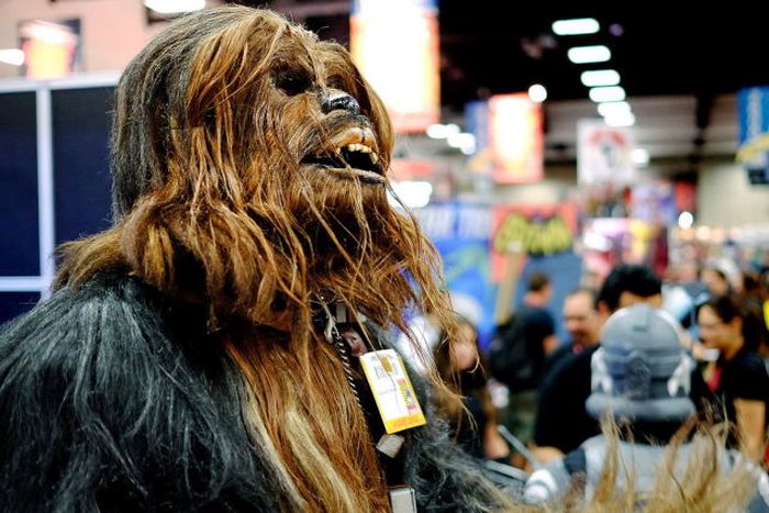 Cool Costumes From Comic Con 2014 (37 pics)