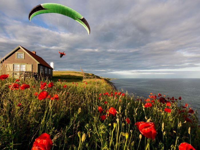 You Get The Best Views When You Go Skydiving (40 pics)