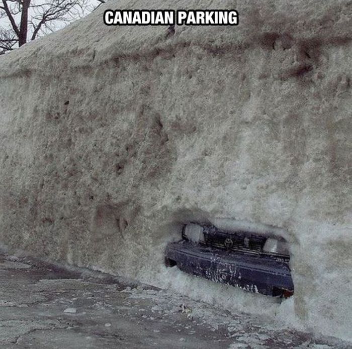 Things You Will Only See In Canada (34 pics)