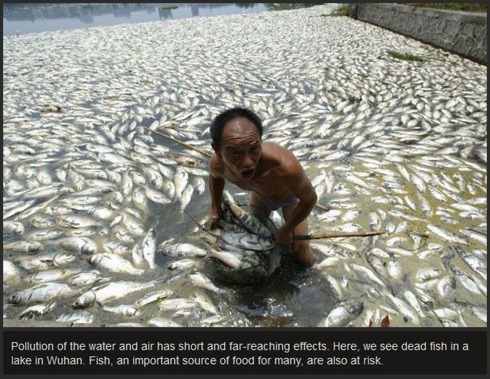 Disgusting Filthy Water In China (11 pics)