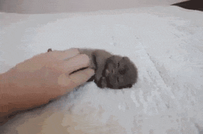 Acid Gifdump, August 01, 2014 (25 gifs)