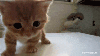 Acid Gifdump, August 01, 2014 (25 gifs)