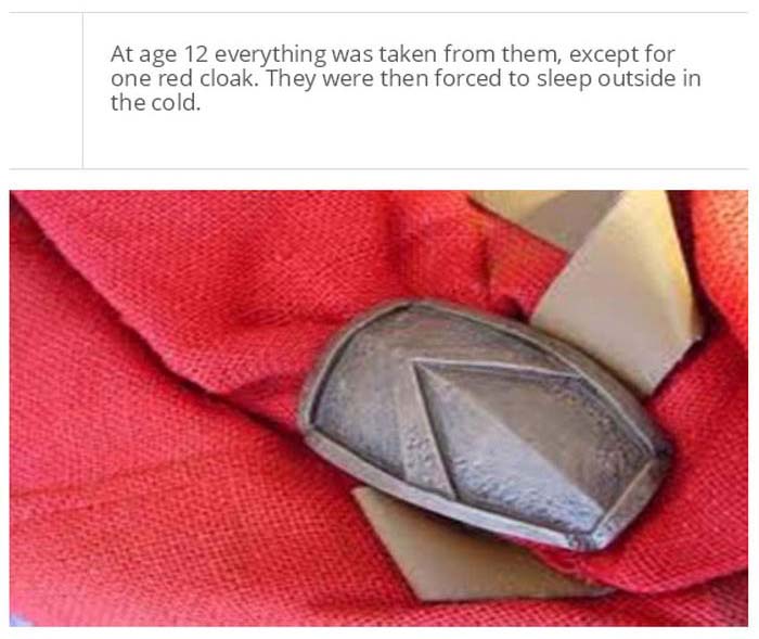 You May Be Tough But You'll Never Be Spartan Tough (25 pics)