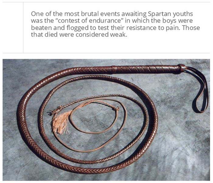 You May Be Tough But You'll Never Be Spartan Tough (25 pics)