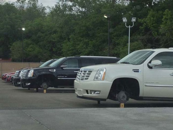 Balancing Cars On Bricks (23 pics)