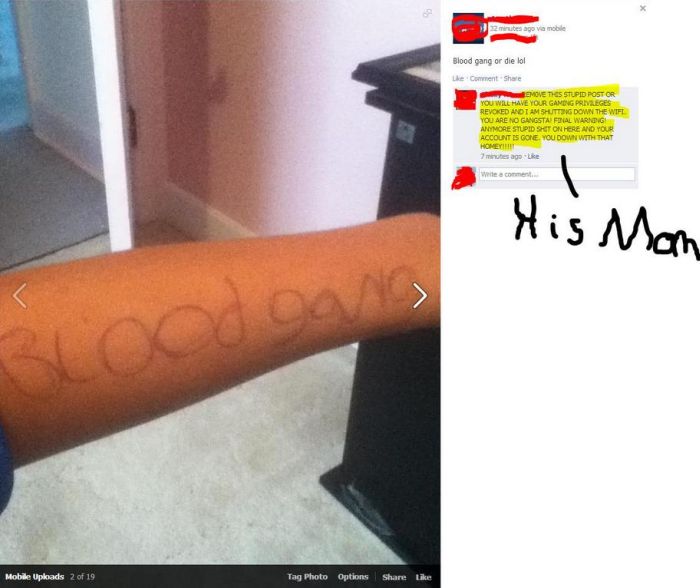 When Liars Use The Internet (22 pics)