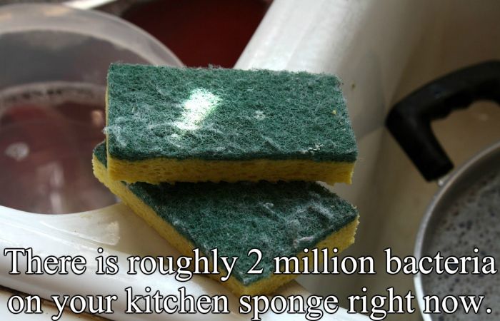 These Facts Will Frighten You (17 pics)