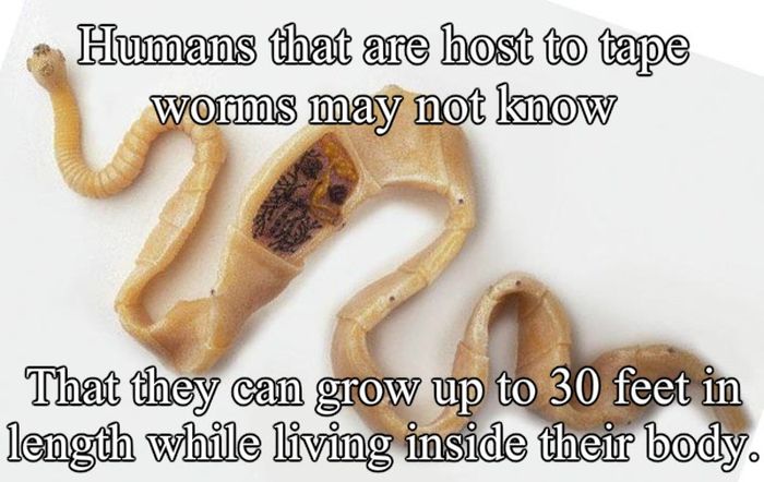 These Facts Will Frighten You (17 pics)