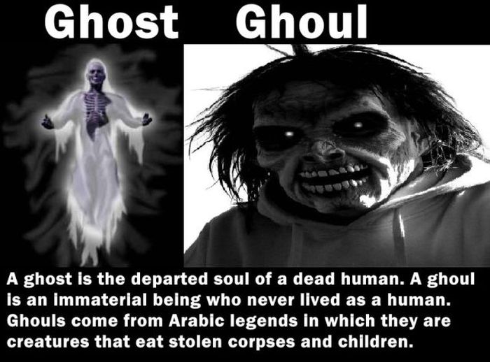Things That Seem the Same but Are Entirely Different (20 pics)