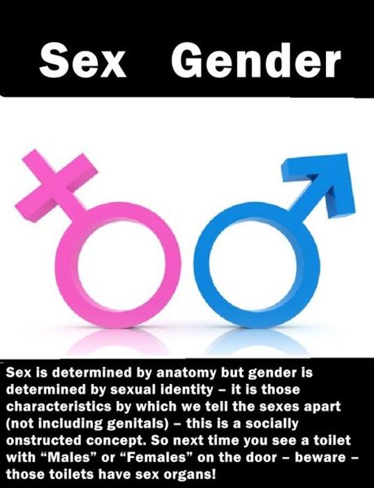 Things That Seem the Same but Are Entirely Different (20 pics)