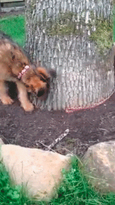 Acid Gifdump, August 06, 2014 (25 gifs)
