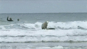 Acid Gifdump, August 06, 2014 (25 gifs)