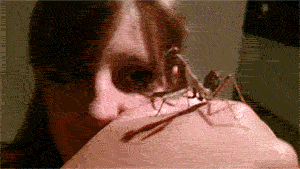 Acid Gifdump, August 06, 2014 (25 gifs)