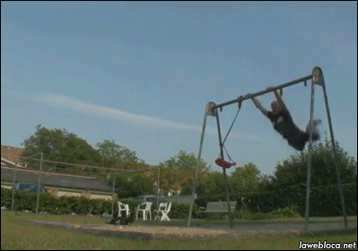 Acid Gifdump, August 06, 2014 (25 gifs)