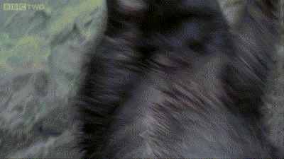 Acid Gifdump, August 06, 2014 (25 gifs)