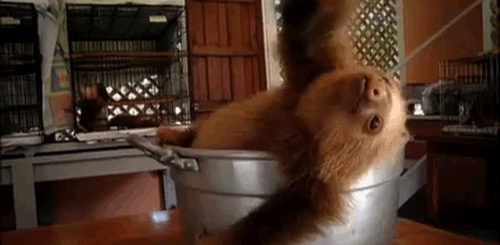 Acid Gifdump, August 06, 2014 (25 gifs)