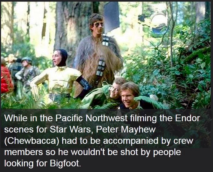 Facts You Didn't Know About Epic Movies (13 pics)