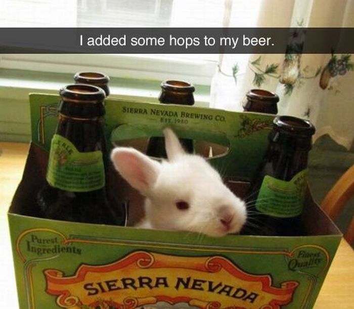 Puns That Are Just Plain Perfect (55 pics)