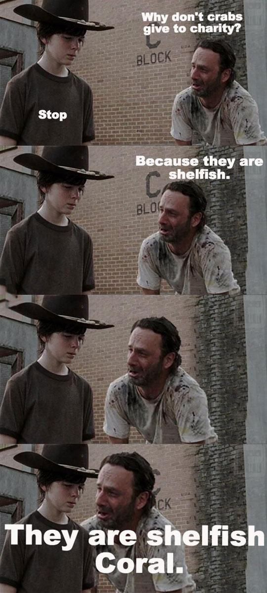 Puns That Are Just Plain Perfect (55 pics)