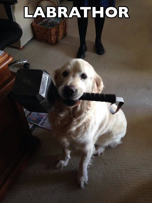 Puns That Are Just Plain Perfect (55 pics)