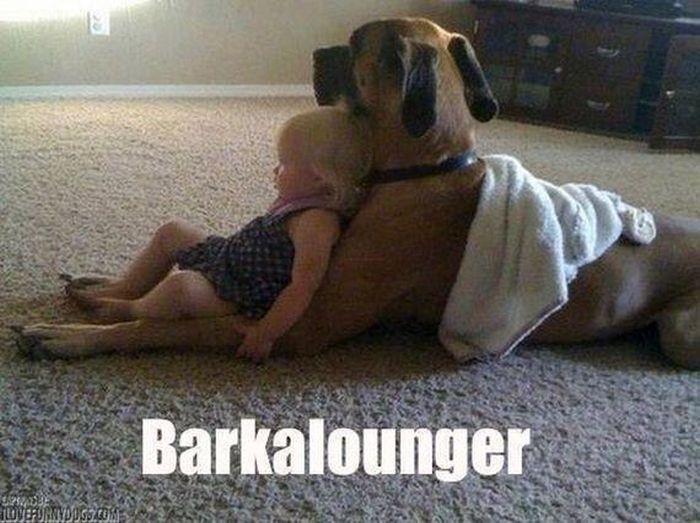 Puns That Are Just Plain Perfect (55 pics)