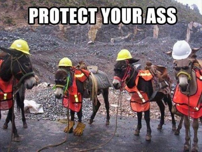 Puns That Are Just Plain Perfect (55 pics)