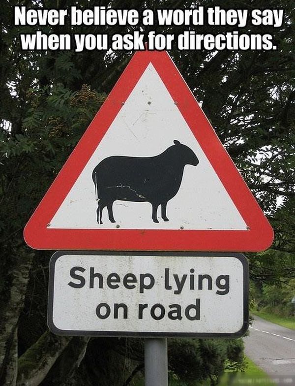 Puns That Are Just Plain Perfect (55 pics)