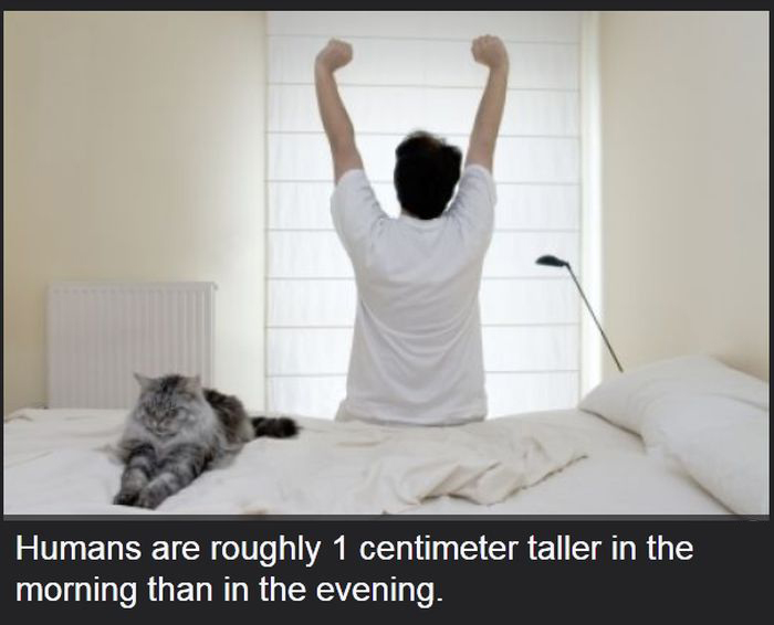 Facts You Didn't Know About The Human Body (19 pics)