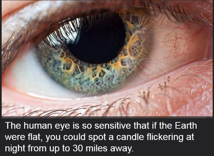 Facts You Didn't Know About The Human Body (19 pics)