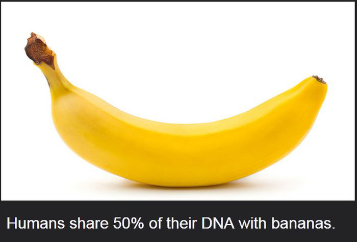 Facts You Didn't Know About The Human Body (19 pics)