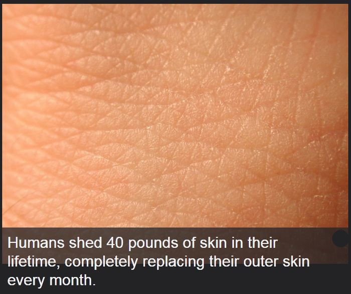 Facts You Didn't Know About The Human Body (19 pics)